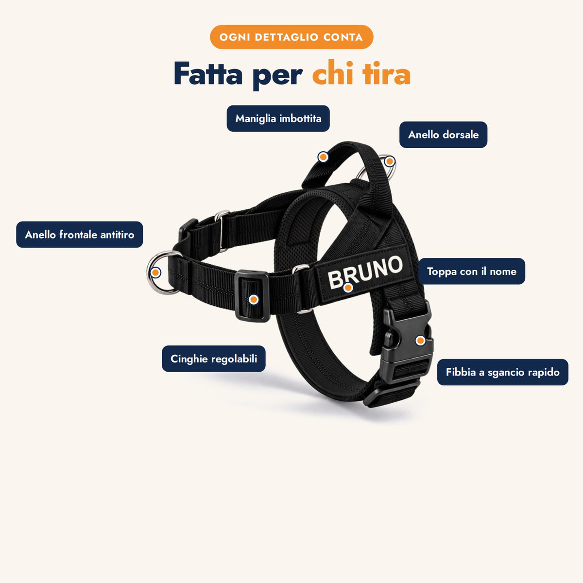 PassoLibero slide 3