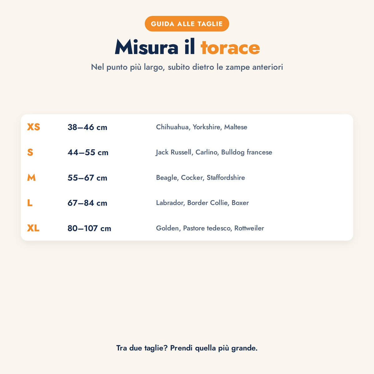 PassoLibero slide 8